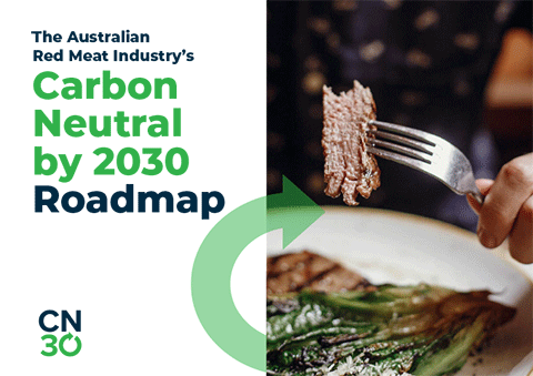 Carbon Neutral by 2030 Roadmap 